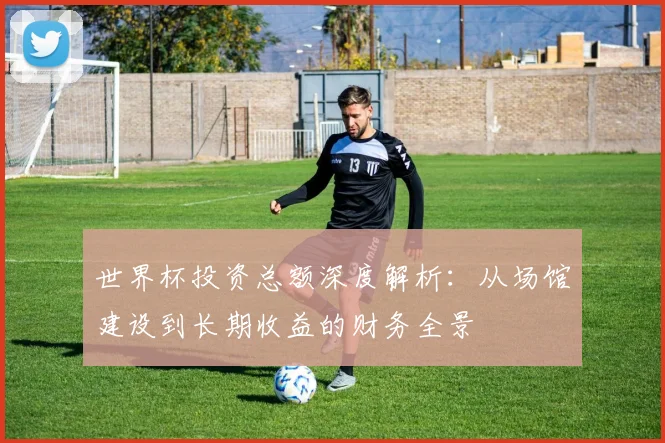 世界杯投资总额深度解析：从场馆建设到长期收益的财务全景