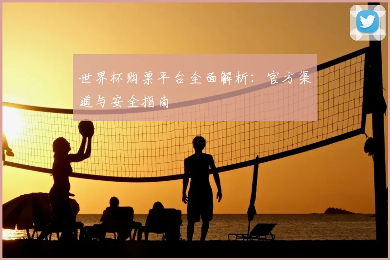世界杯购票平台全面解析：官方渠道与安全指南