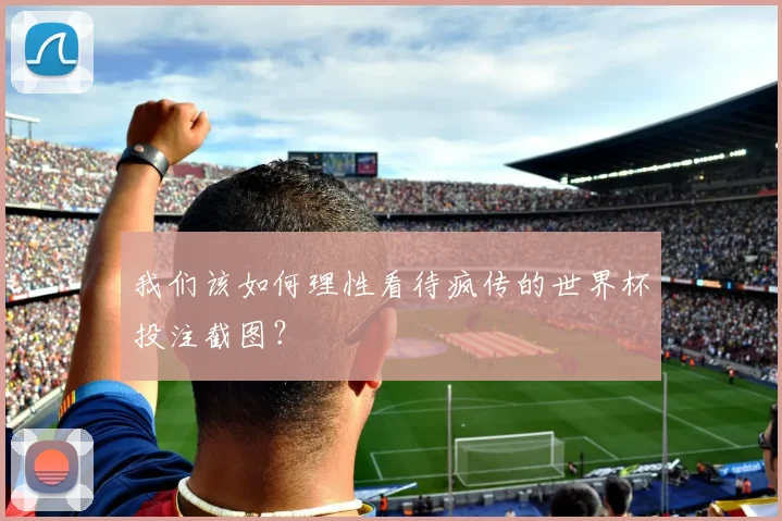 我们该如何理性看待疯传的世界杯投注截图?