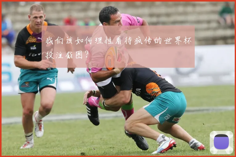 我们该如何理性看待疯传的世界杯投注截图？