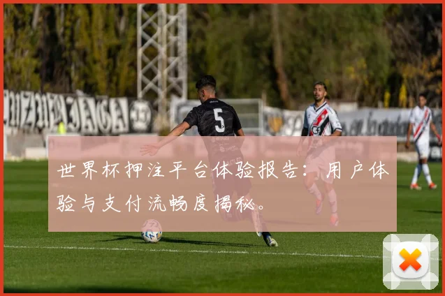 世界杯押注平台体验报告：用户体验与支付流畅度揭秘。